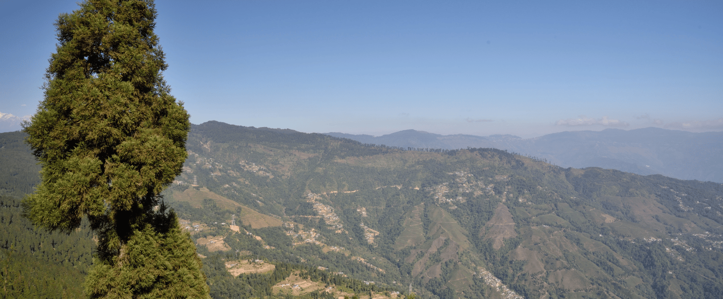Darjeeling Viewpoints