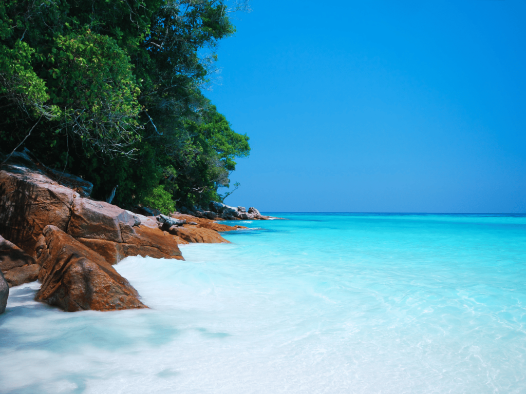 Best Time to Visit Havelock Island