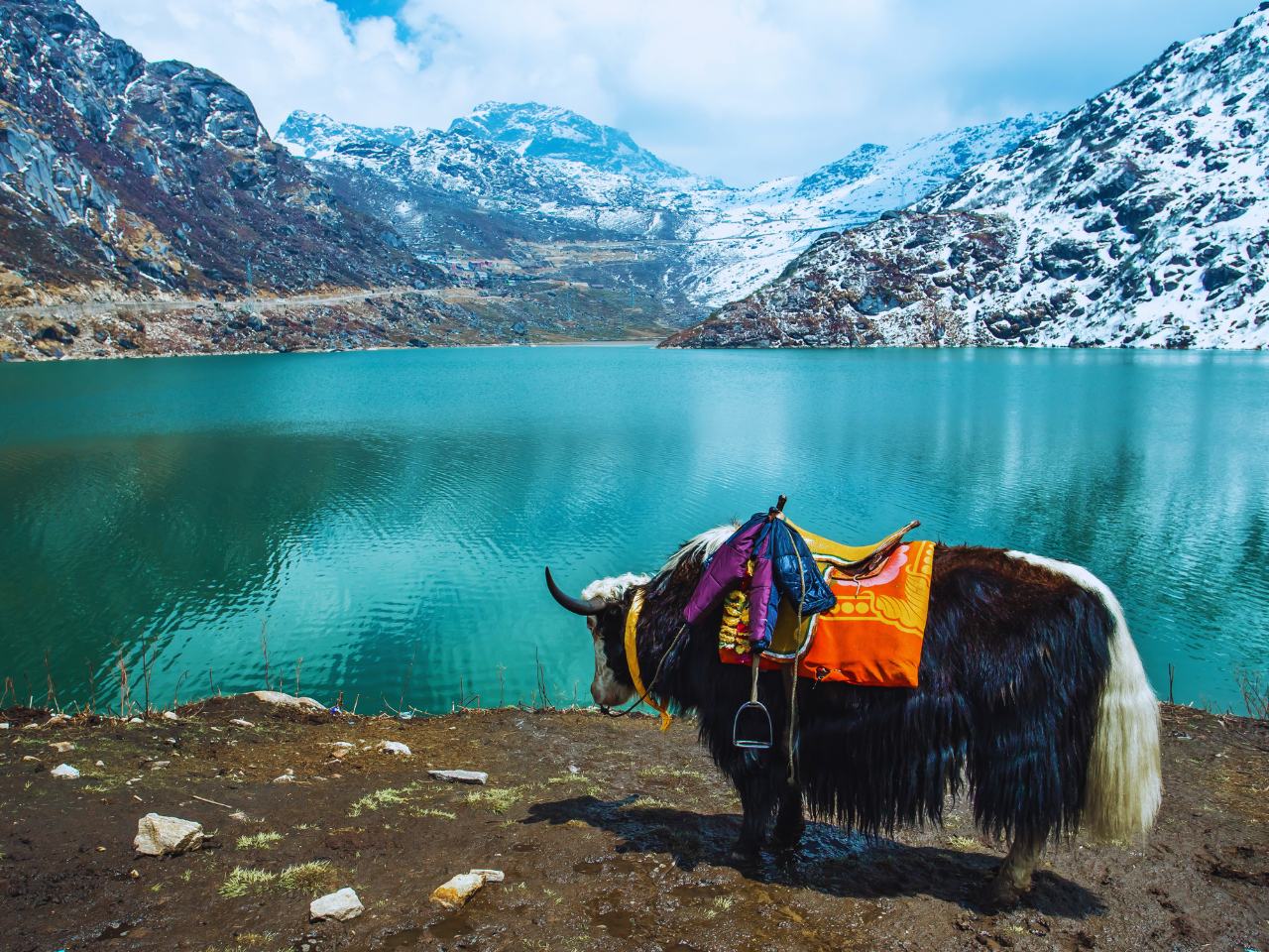 Nathulapass & Gangtok Tour Packages