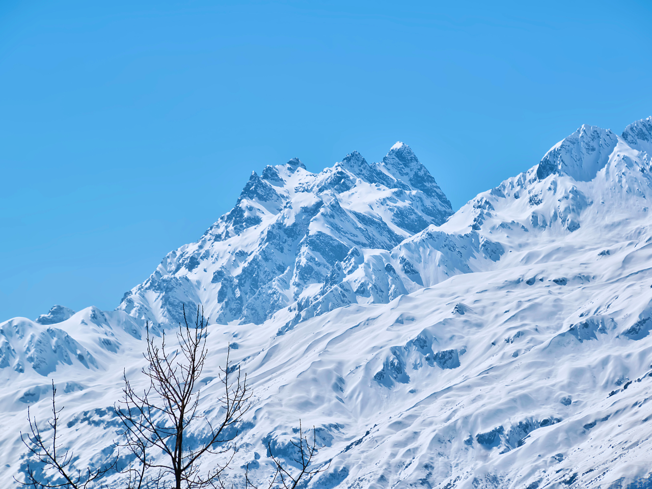 Sikkim Darjeeling Couple Tour