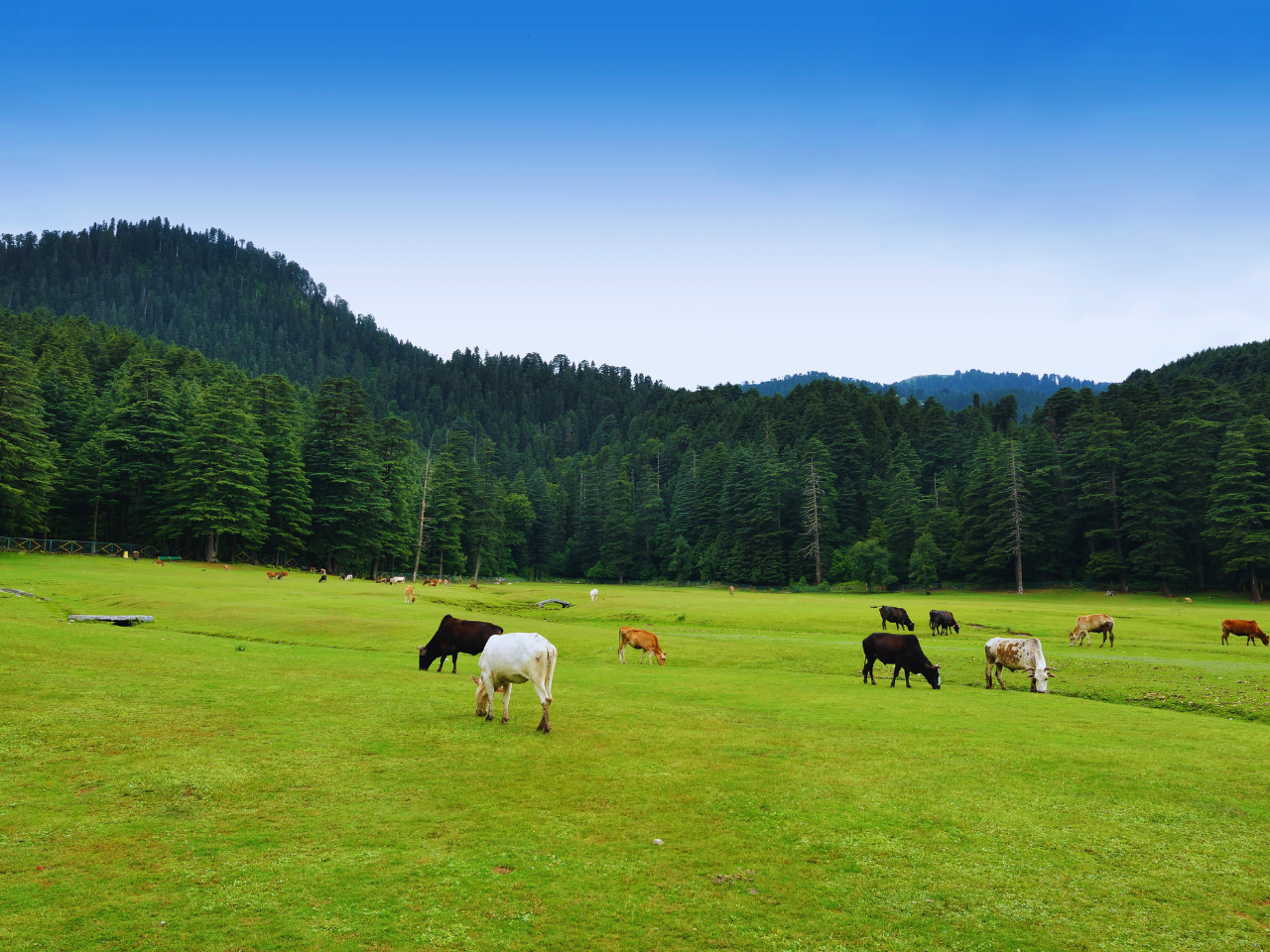 Tour of Himachal Pradesh