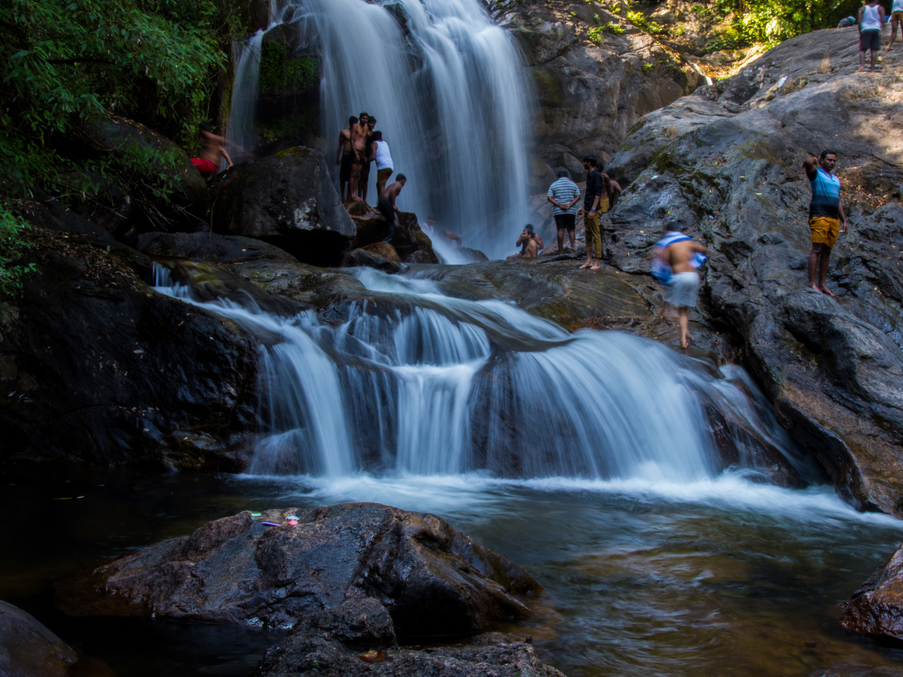 Munnar Honeymoon Tour