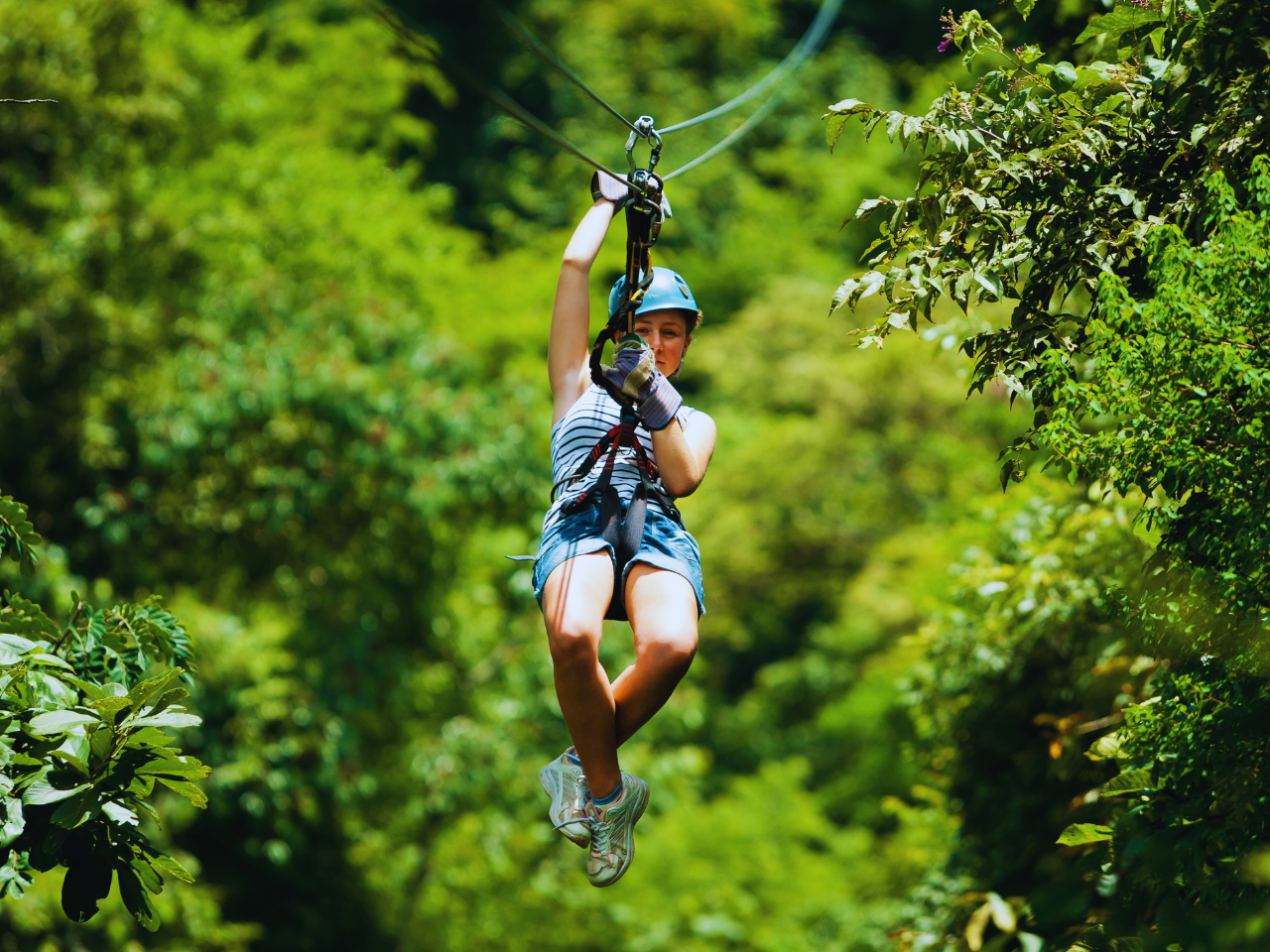 Ziplining in Dharamshala