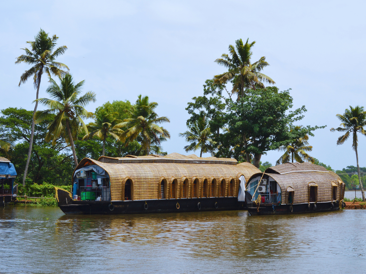 Best Time to Visit Alleppey