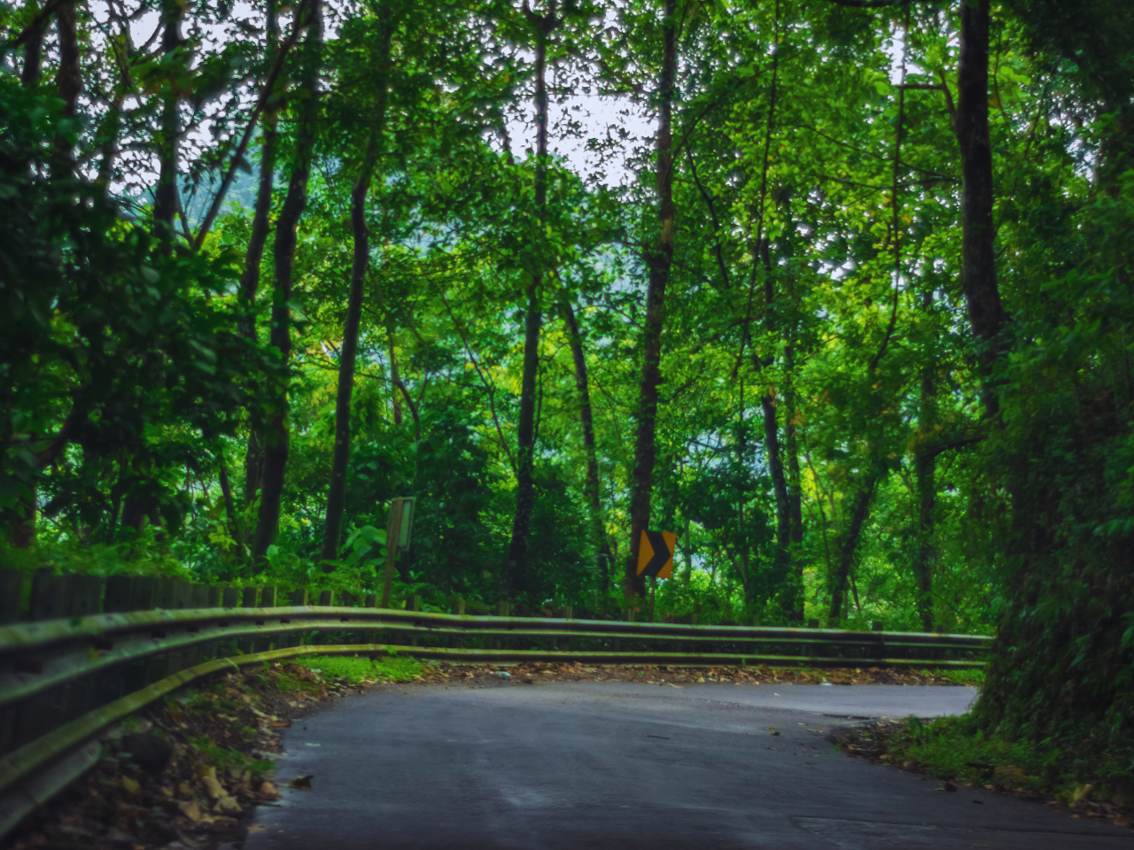 Best Time to Visit Vagamon