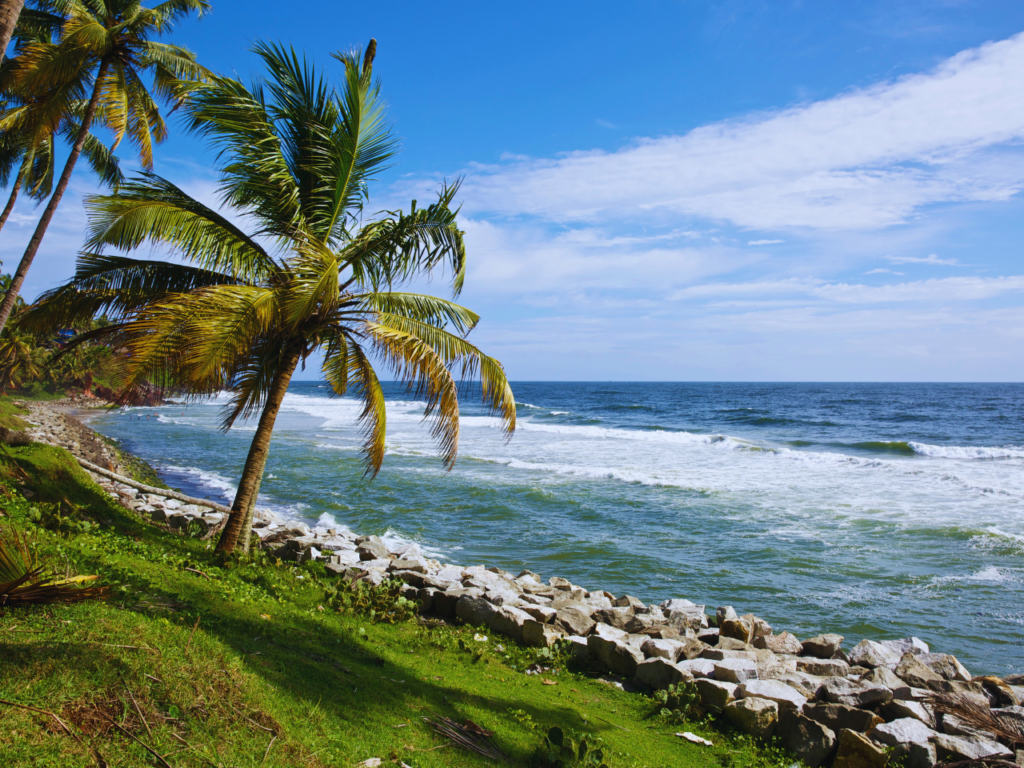 Best Time to Visit Varkala