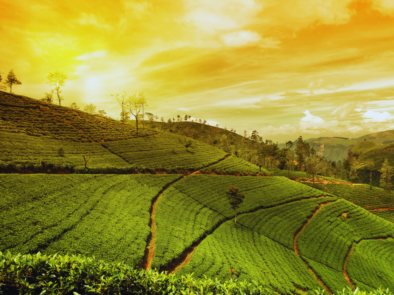 How To Reach Munnar