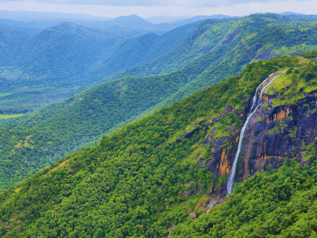 How To Reach Thekkady