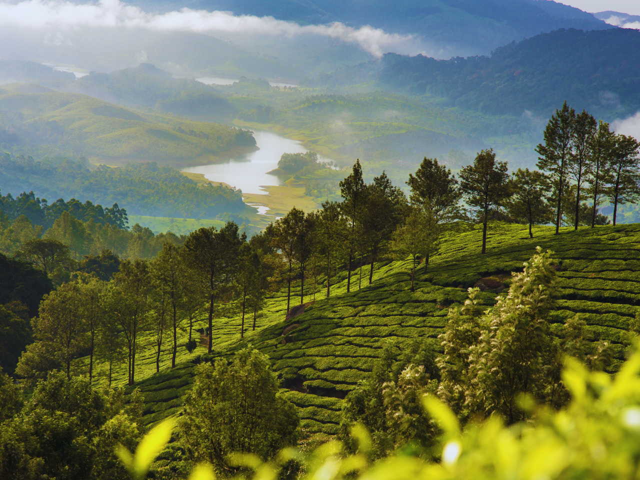 Munnar Holiday Tour Package