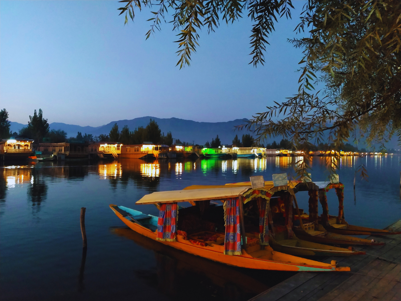 Shikara Ride in Kerala